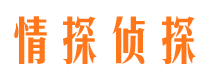 枫溪侦探公司